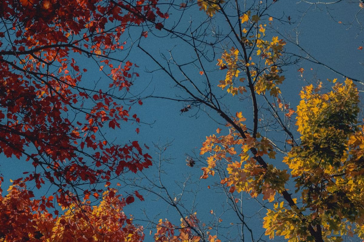 Seasonal Astrology: How changing weather affects your mood and motivation