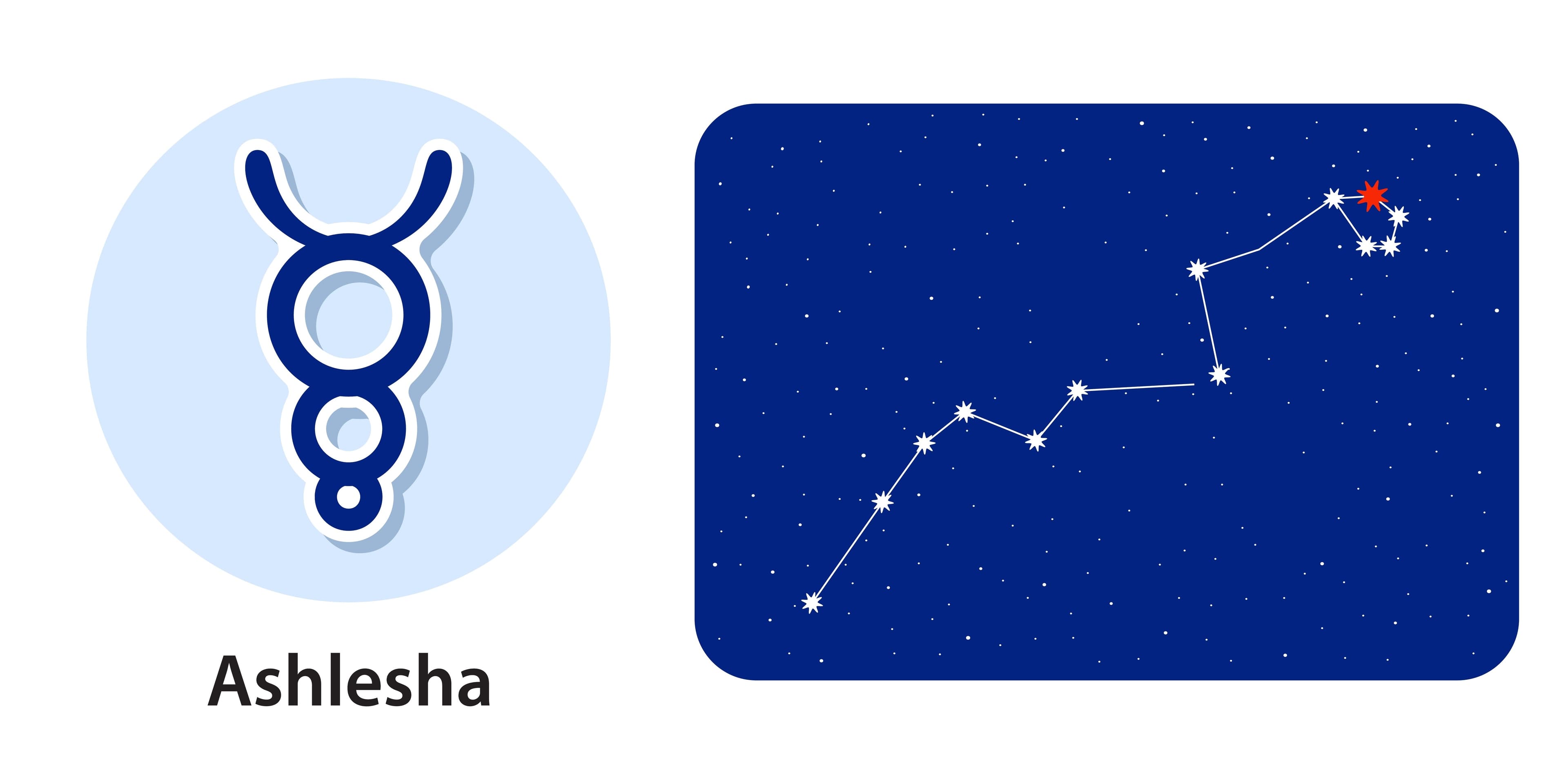 Why Ashlesha Nakshatra is the zodiac’s most mysterious and magnetic sign