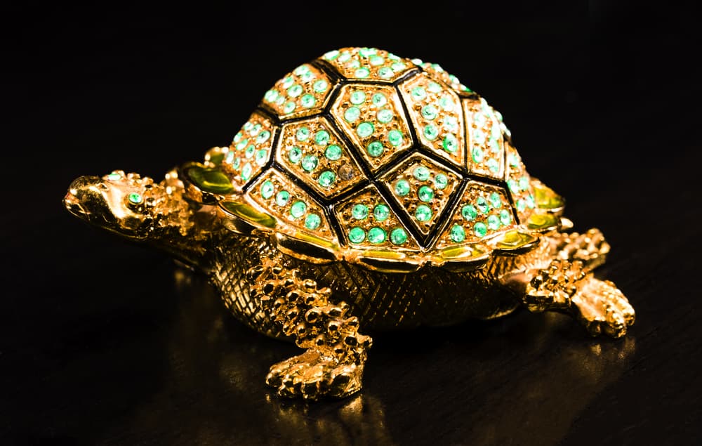 Turtle Ring: What is it and how you can benefit from wearing it?