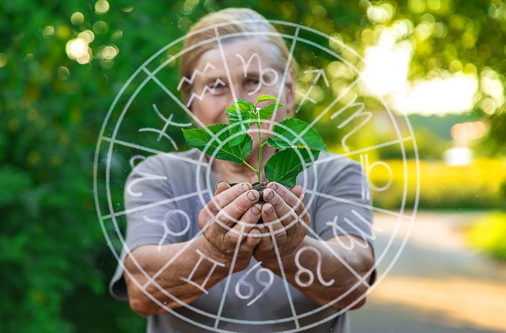 Perfect Plant for Each Zodiac Sign : World Environment Day Special