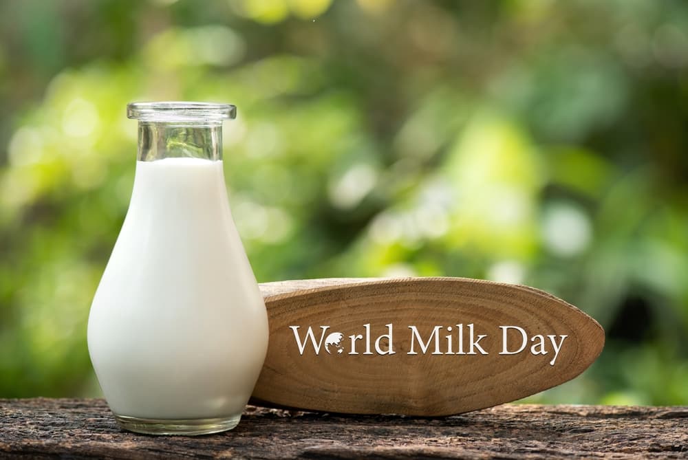 World Milk Day: Powerful Rituals & Remedies Using Milk To Fix Doshas