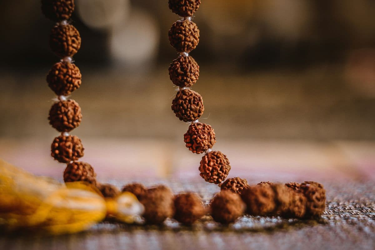 Rudraksha types and their spiritual properties: How to Choose the right bead