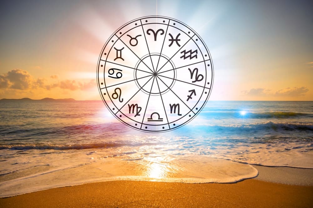 How do I understand the South Indian birth chart?